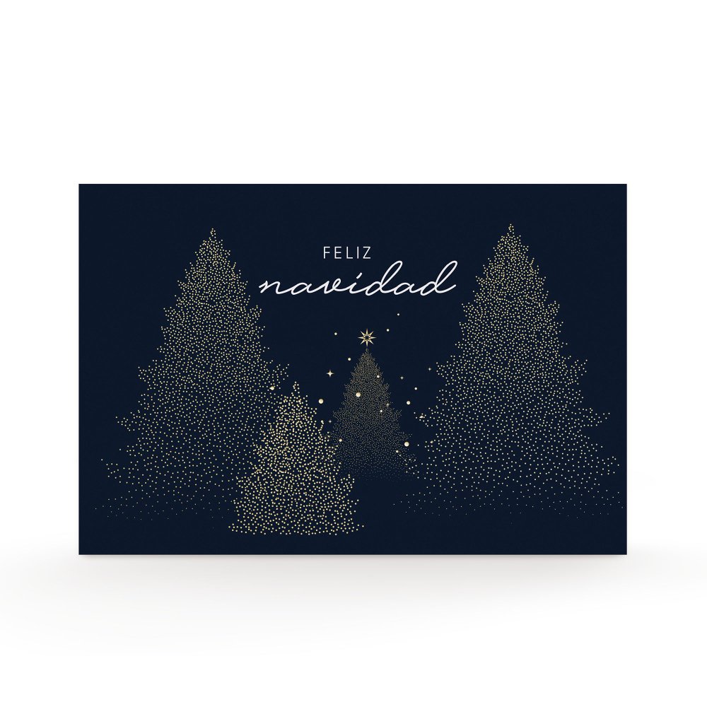 Night forest
