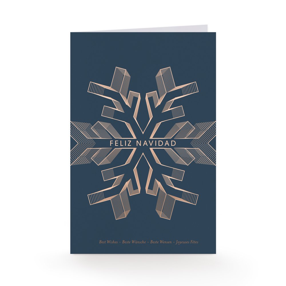 Snow Star