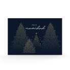 Night forest