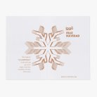 Snow Star