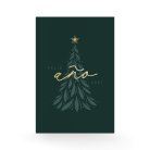 Graceful christmas