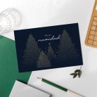 Night forest