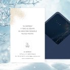 Frozen star