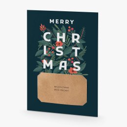 Winter letter