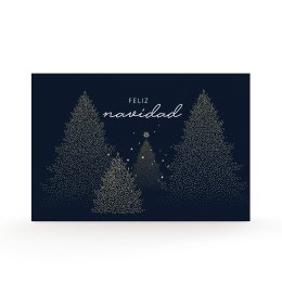 Night forest