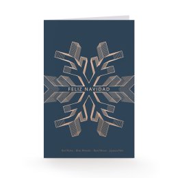 Snow Star
