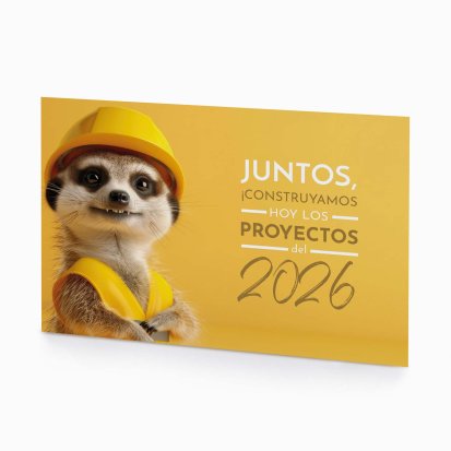 Timon