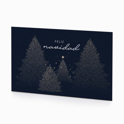 Night forest