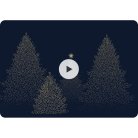 Night forest